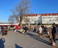 Hundeschule Gr&ouml;nke | Hundeschule Wunstorf | Hundetraining Alltagstraining